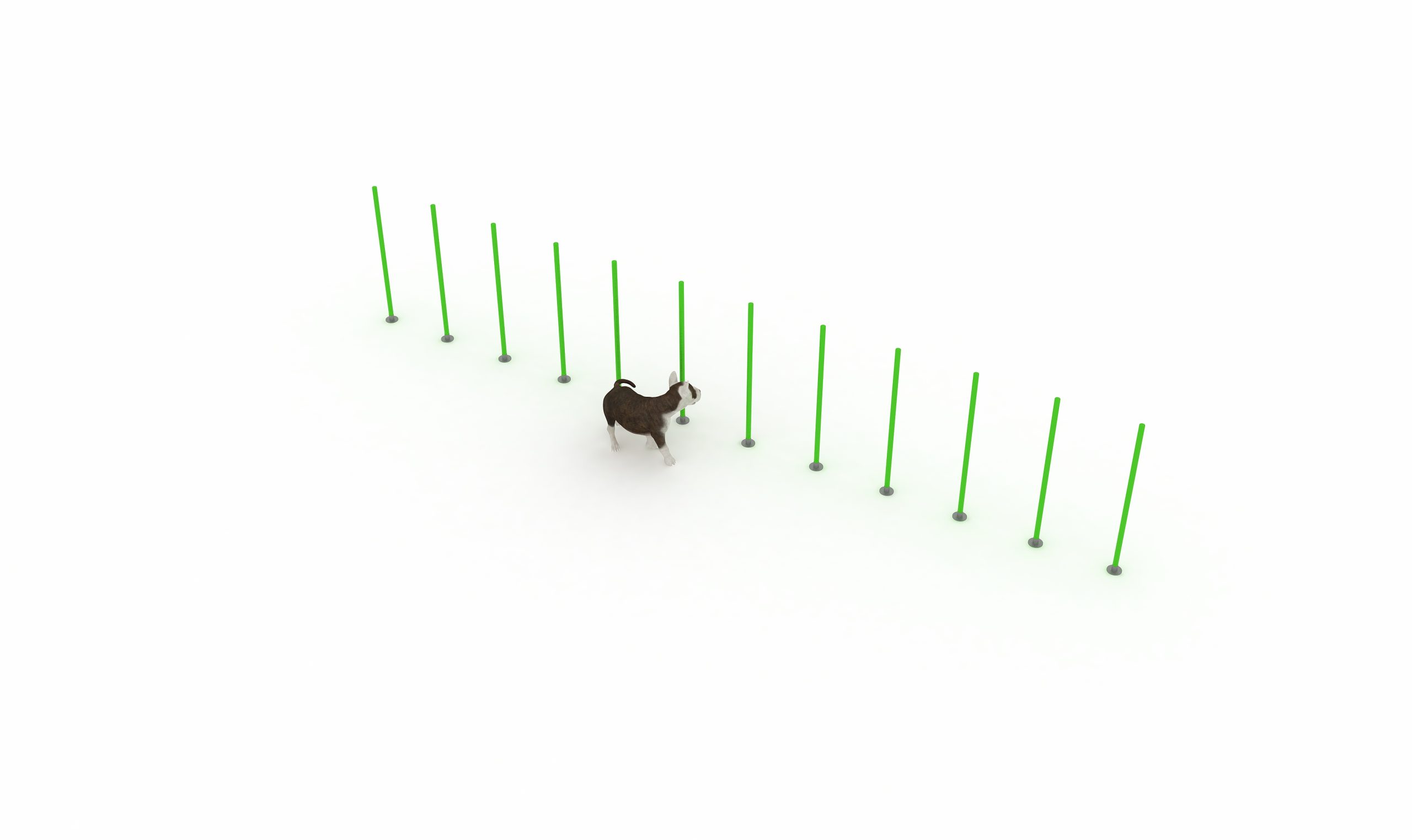 Valla de agility para perros con postes separados